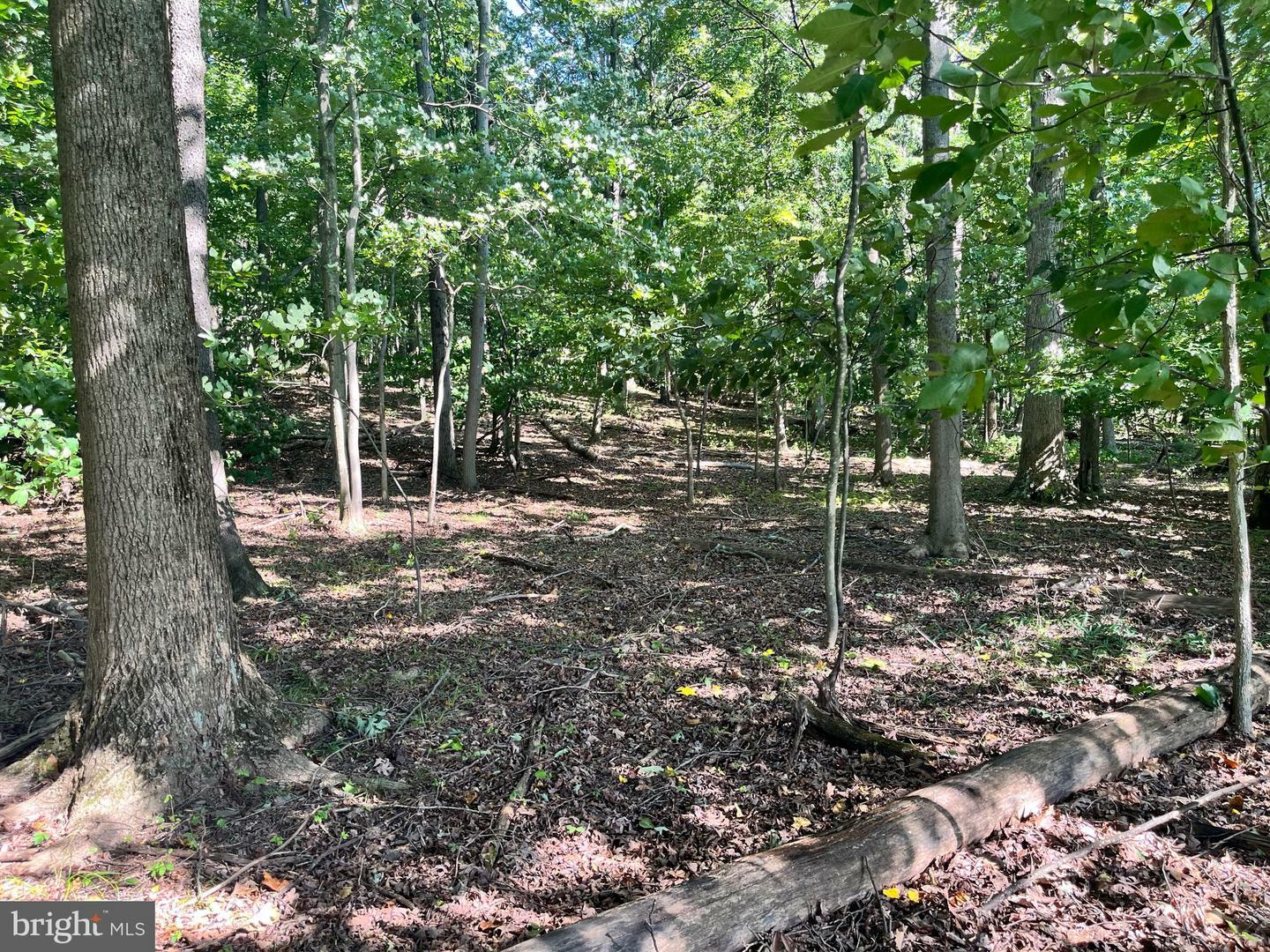 Property Photo:  E/S Chestnut Grove Rd.  MD 21756 