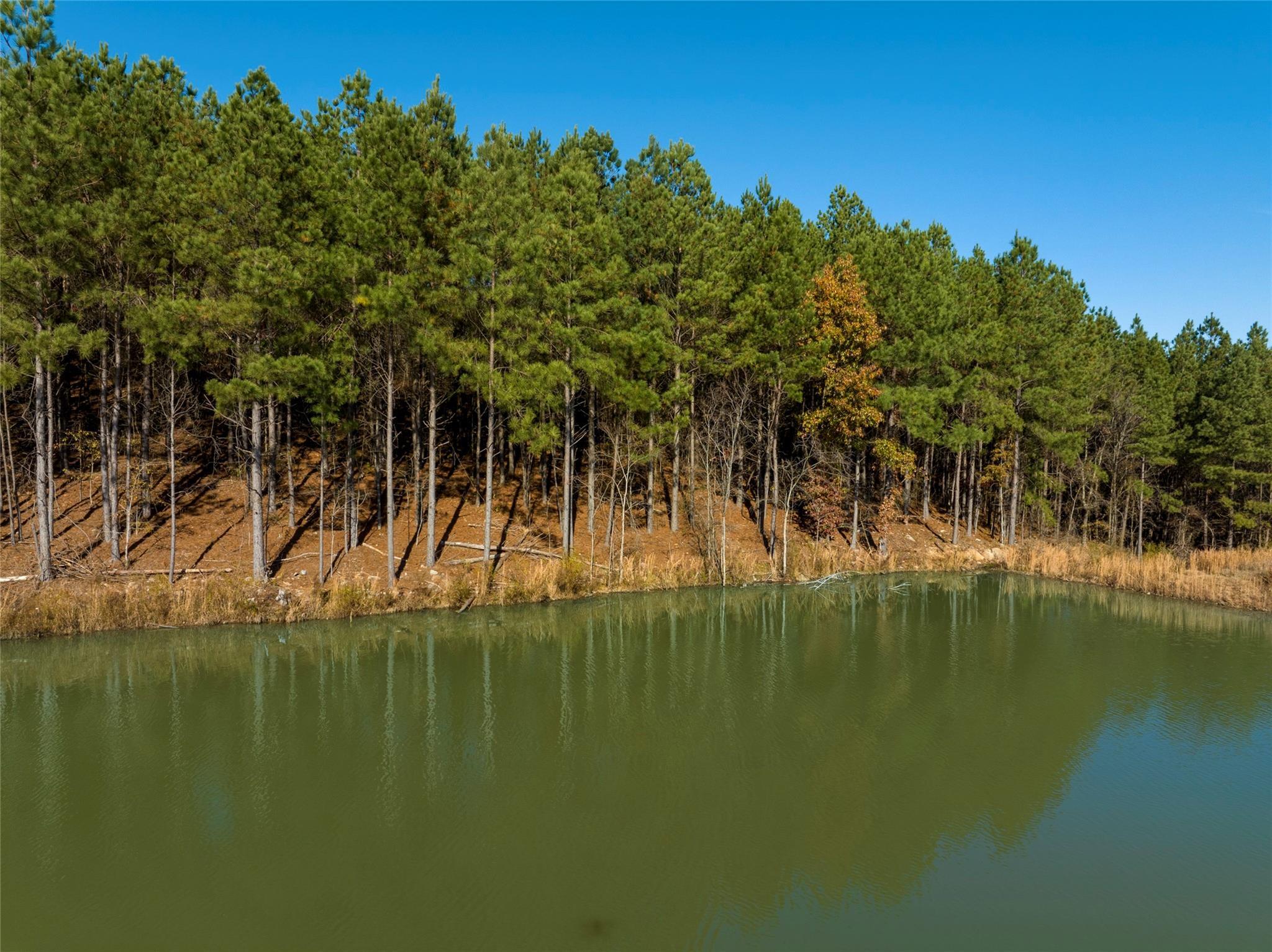 Property Photo: 256 Woodsman Trail OK 74728