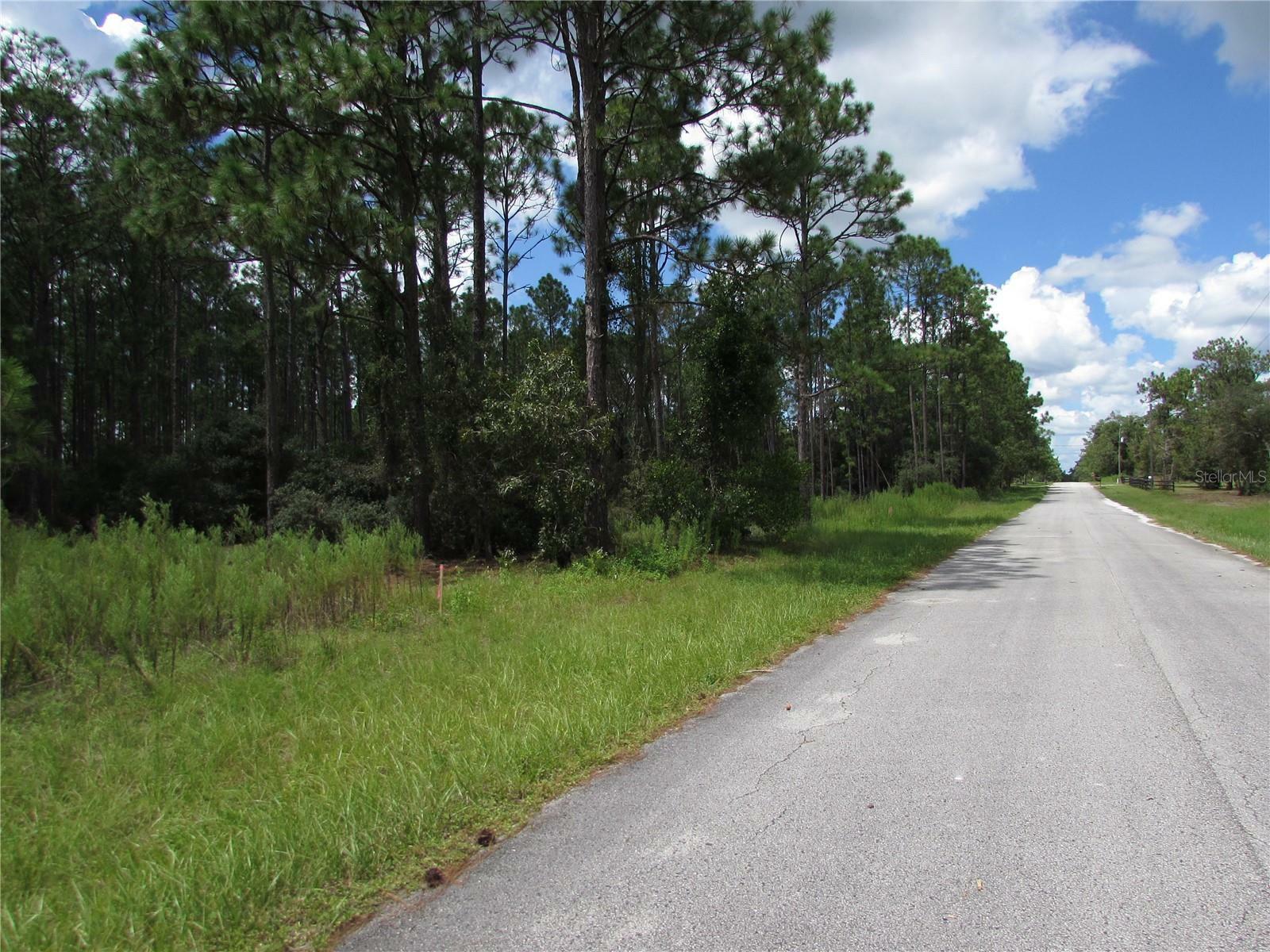 Property Photo:  Lot 19 SW 207 Court  FL 34431 