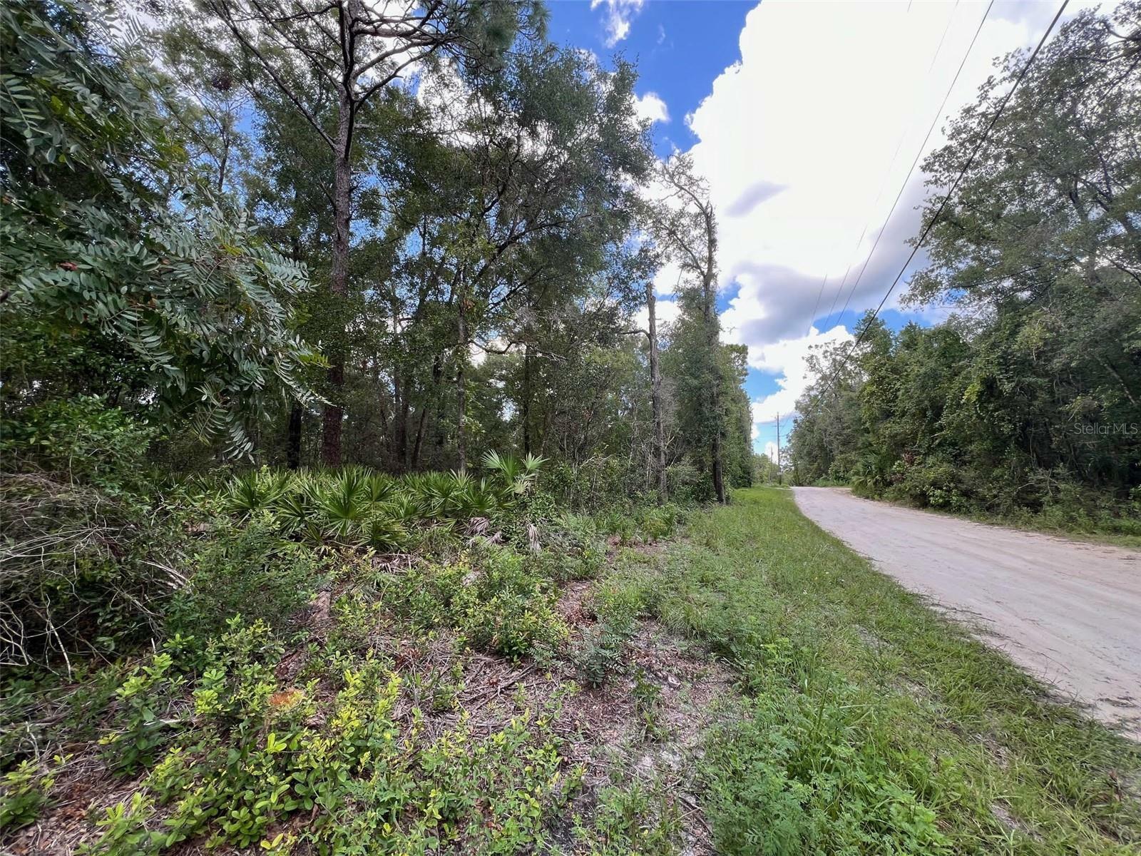 Property Photo:  NW 58th Lane  FL 32626 