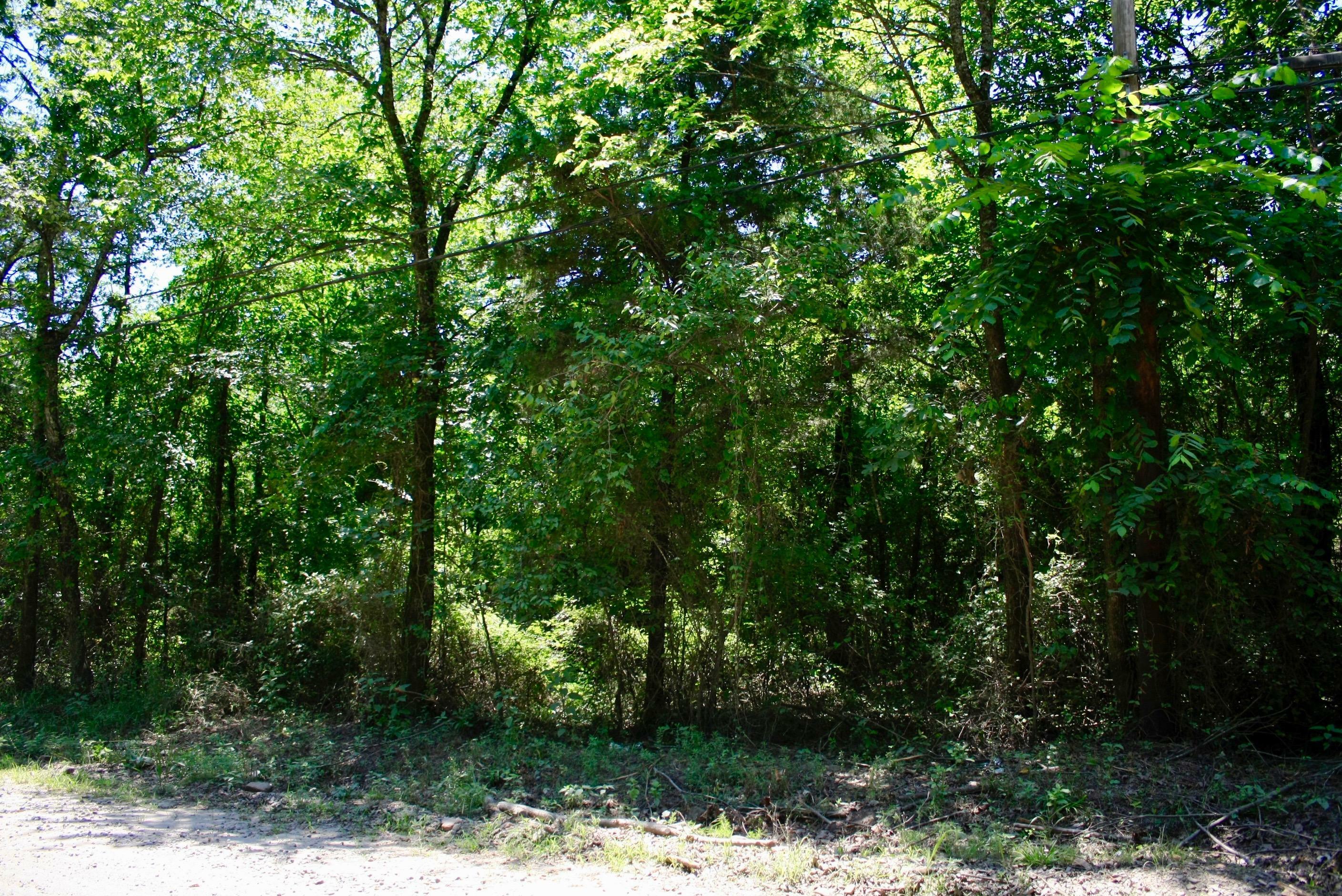 Property Photo:  5 Ac Co Rd 3503  AR 72830 