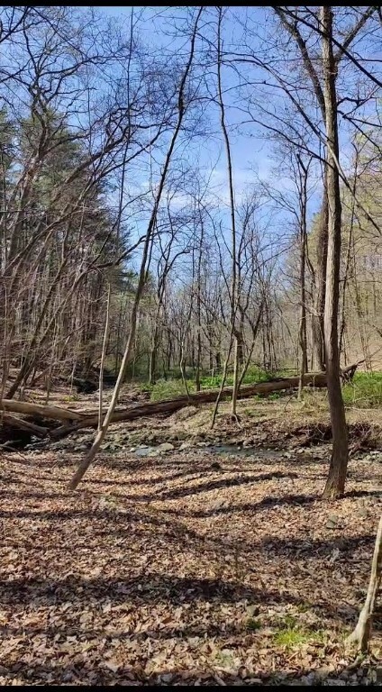 Property Photo:  9 Wilderness Road  NY 14882 