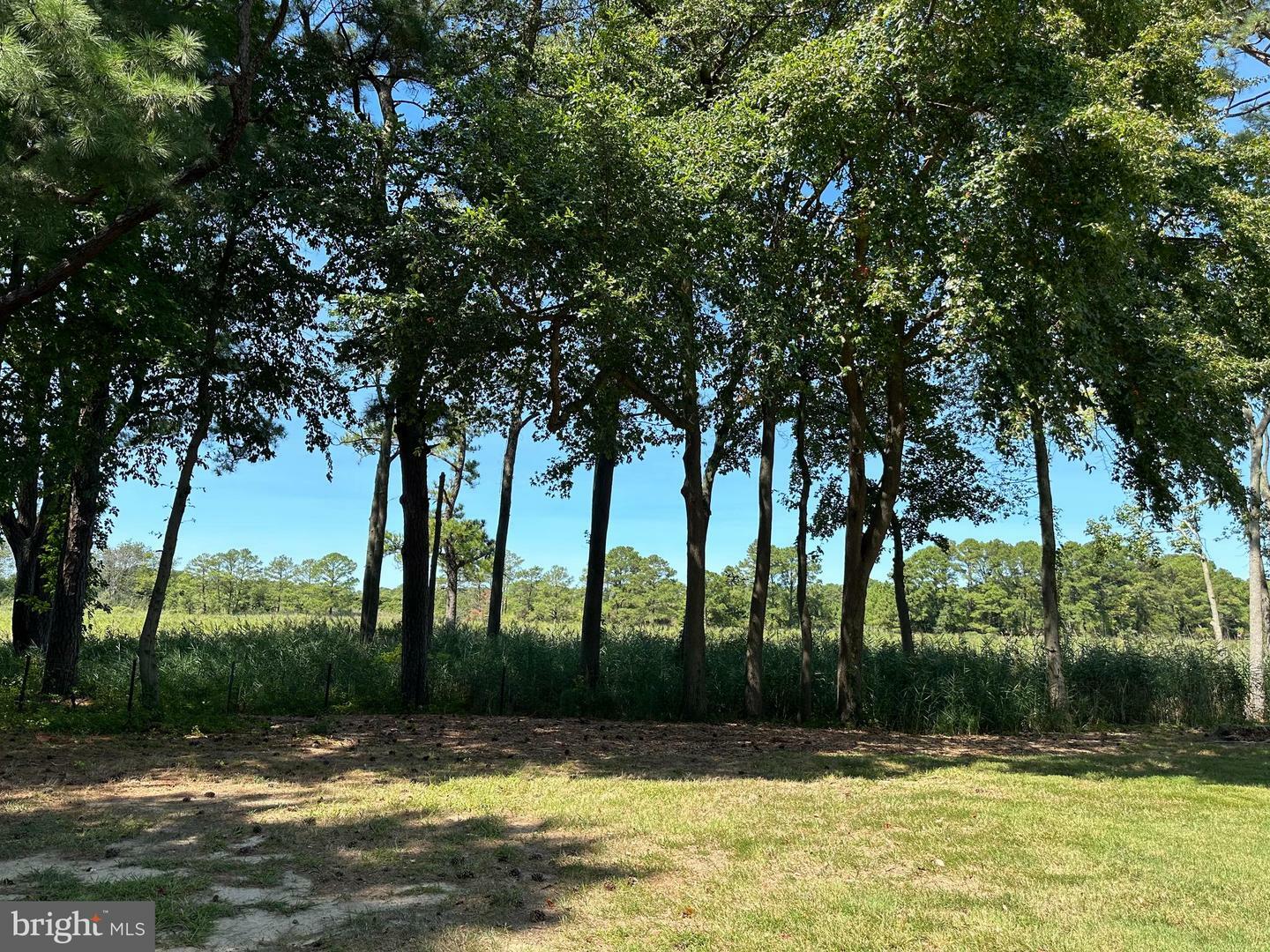 Property Photo:  6800 Tilghman Island Road  MD 21665 