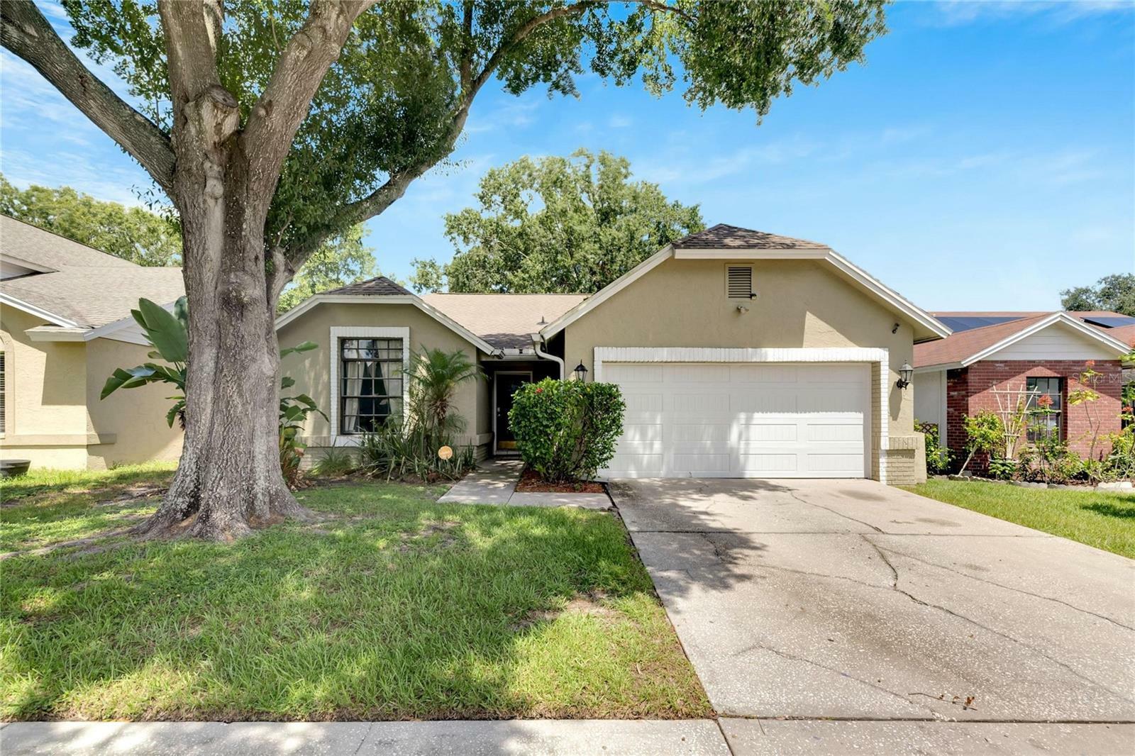 Property Photo:  10906 Carnelian Drive  FL 33578 