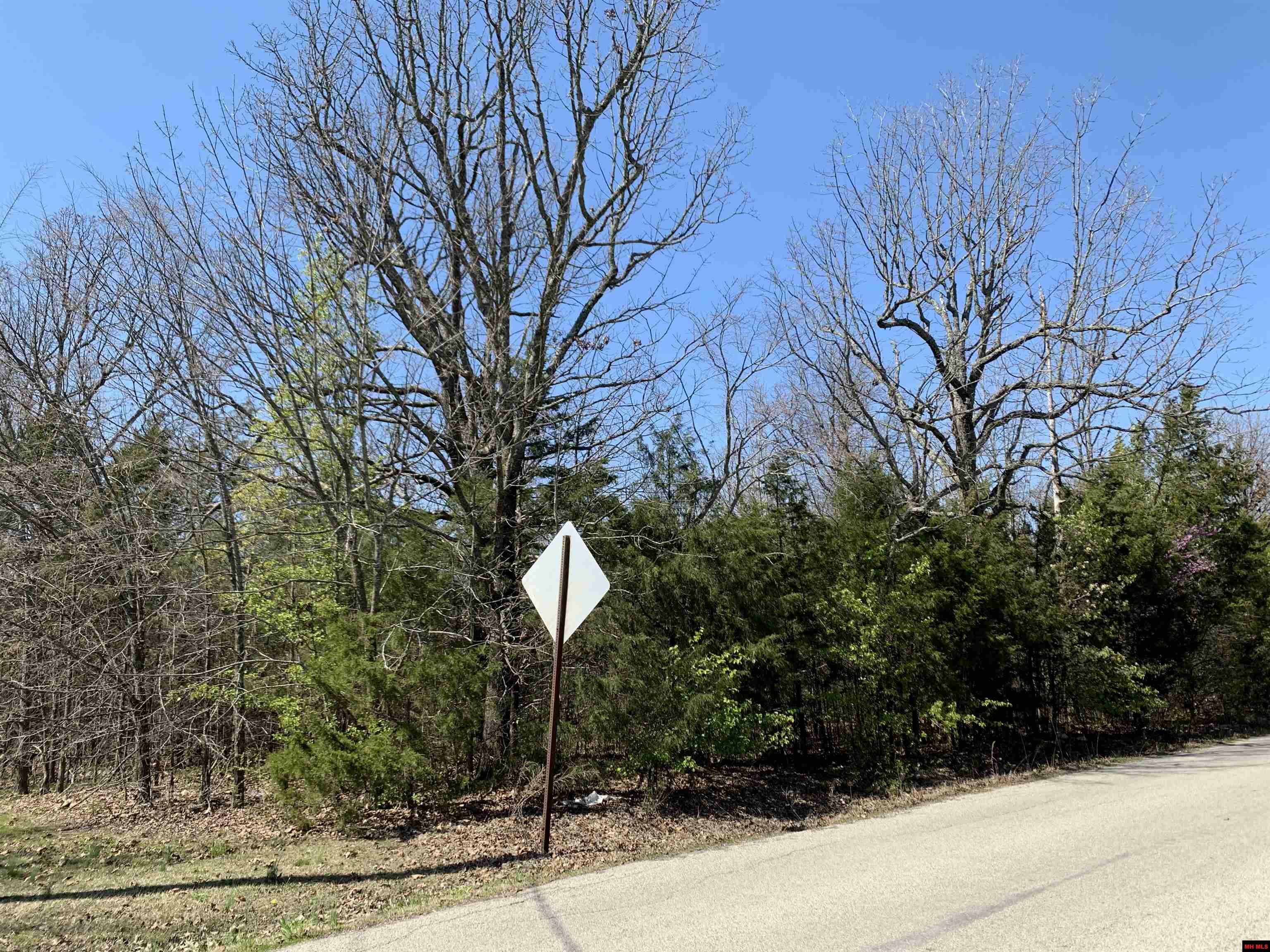 Property Photo: 002-09810-035 Pioneer Trail Drive AR 72653