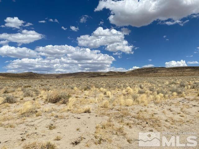 Property Photo:  Apn 01565101  NV 89429 