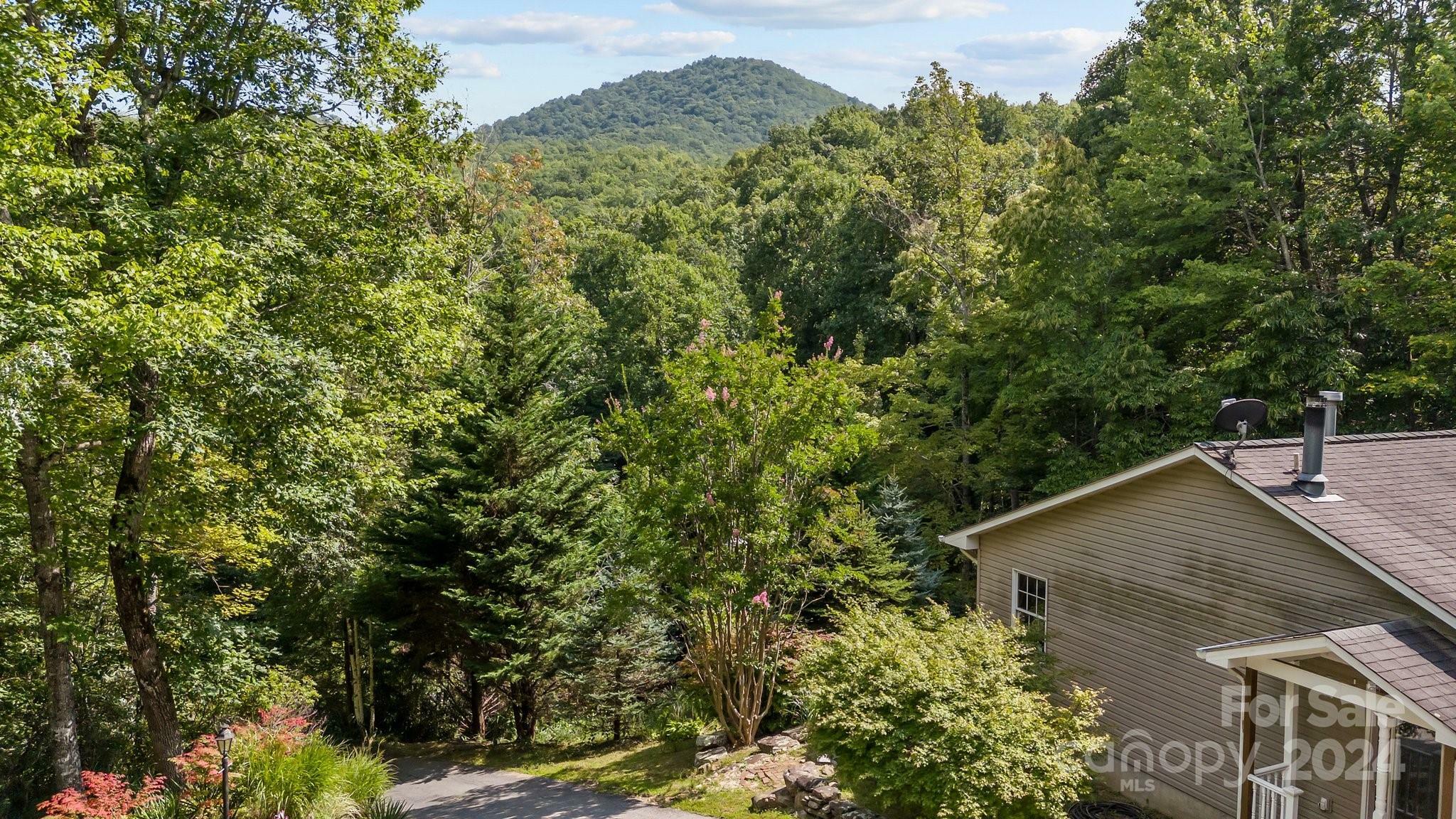 Property Photo:  105 Chestnut Hill Road  NC 28711 