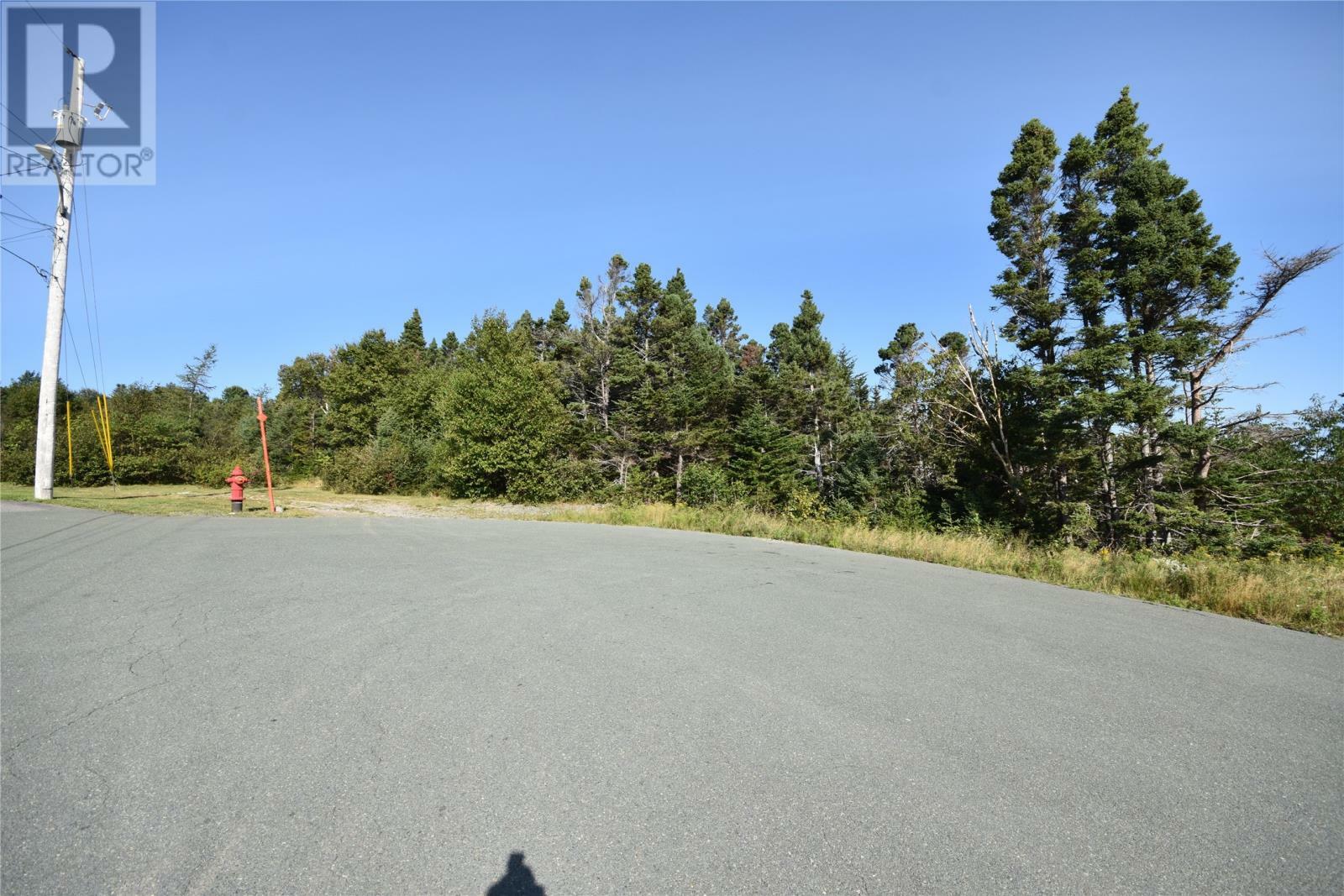 Property Photo:  20 Wettlaufer Road  NL A1X 7P6 