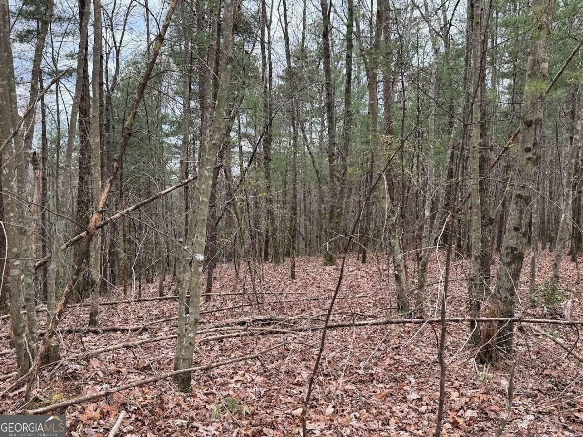 Property Photo:  Tract D Harpers Creek Road  GA 30540 