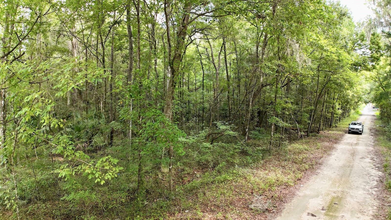 Property Photo:  SW 133rd Avenue Road  FL 34481 