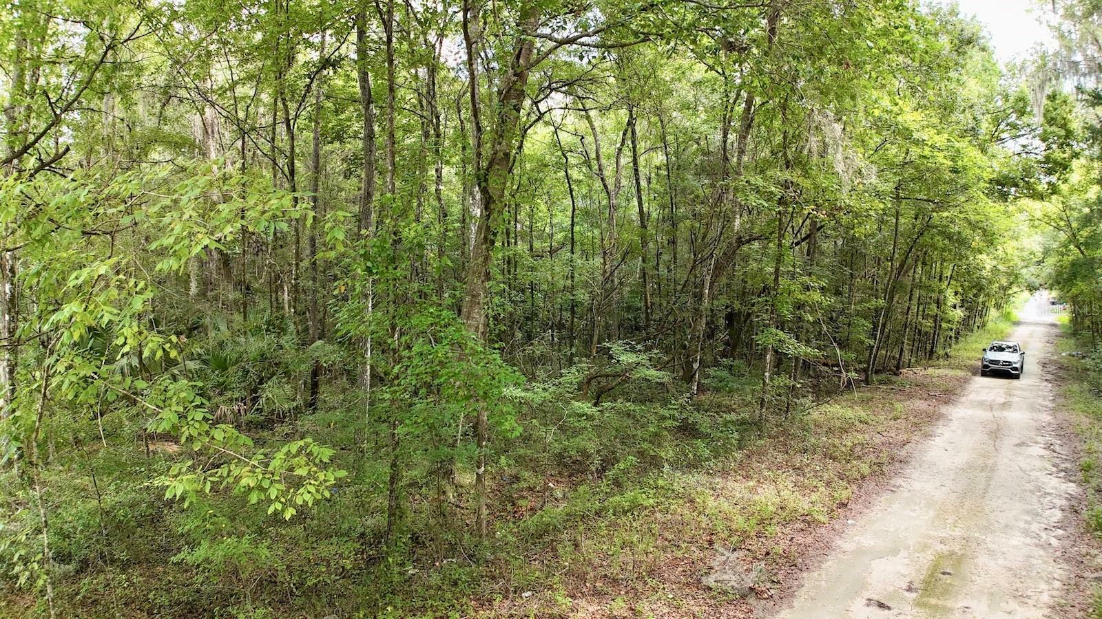 Property Photo: SW 14th Street FL 34481