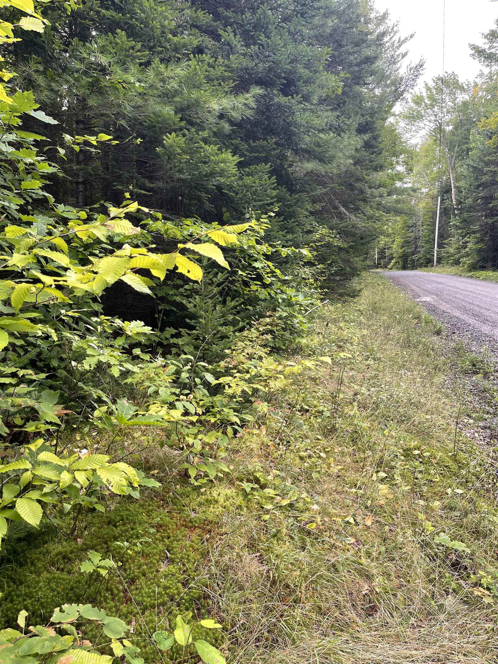 Property Photo:  Lot 10-73 Ayers Road  VT 05079 