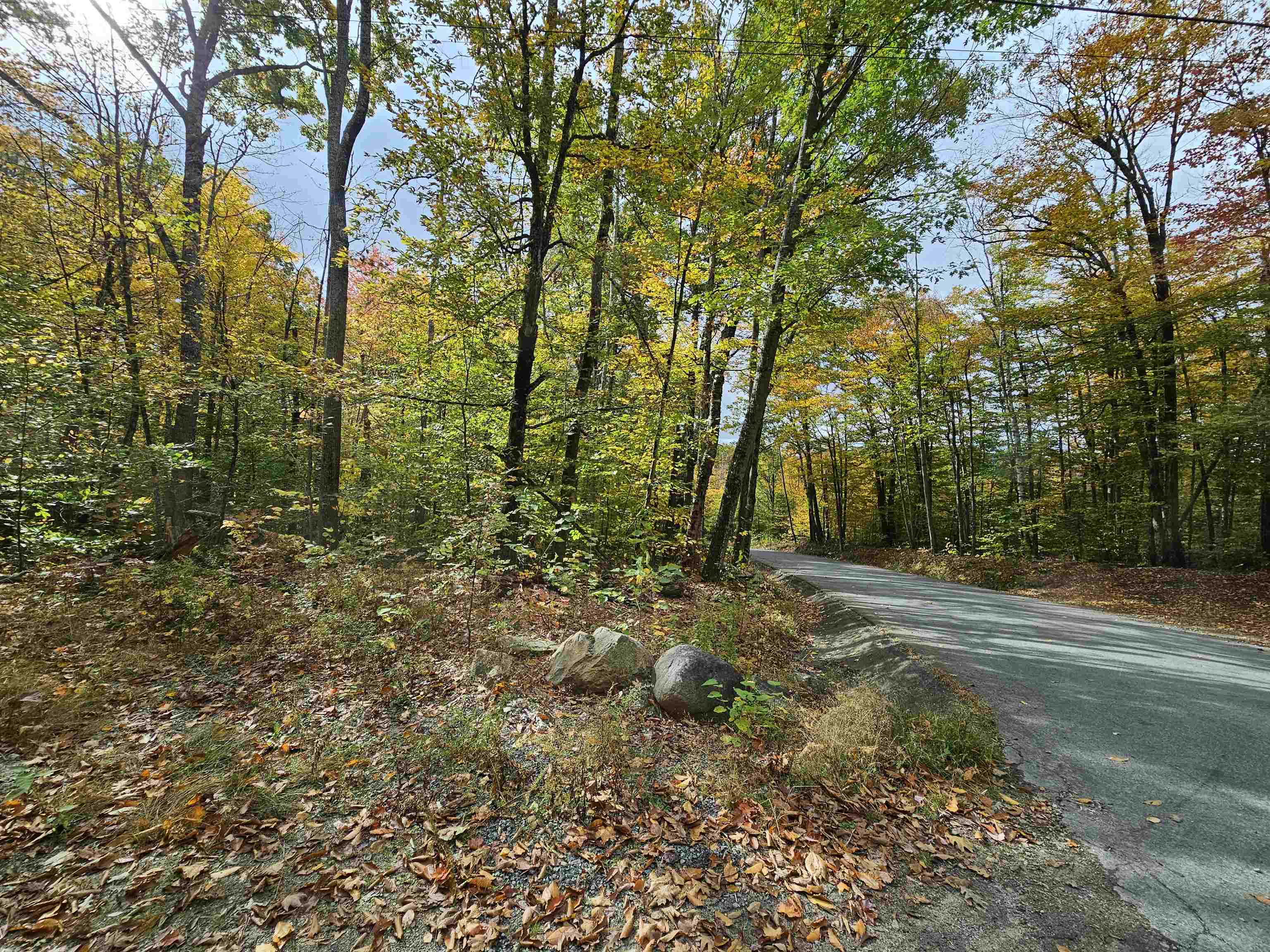 Property Photo:  Lot 21 Wallace Hill Road  NH 03580 