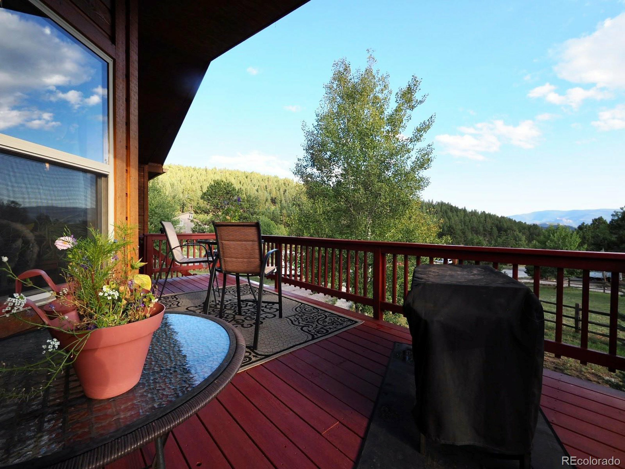 Property Photo:  209 Wisp Creek Dr  CO 80421 