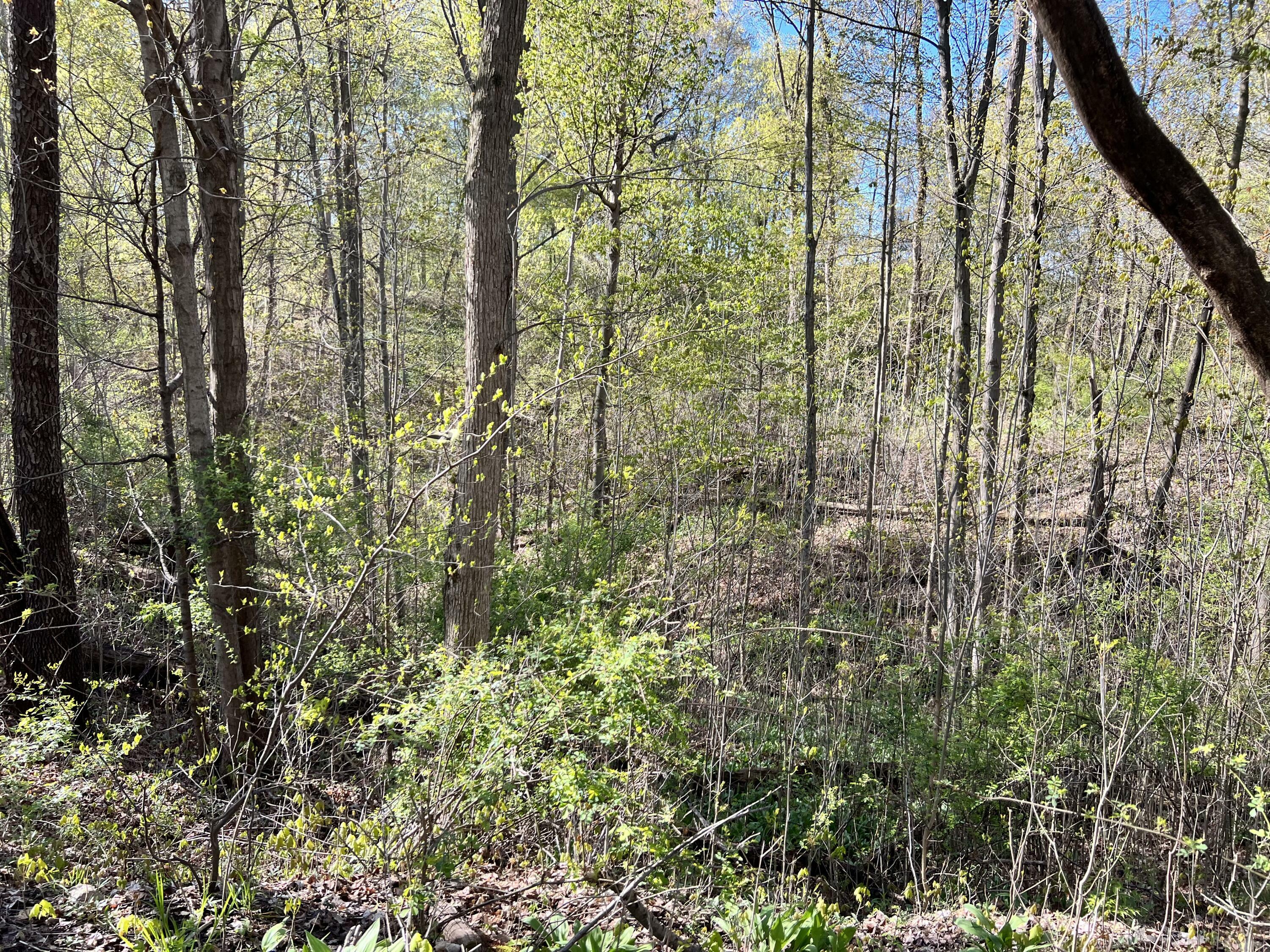 Property Photo:  8249 Parcel C M-139  MI 49103 