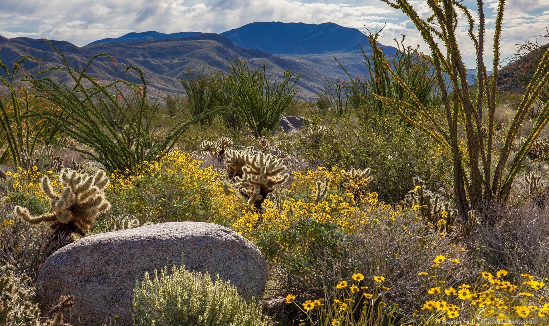 0 Palm Canyon Dr. 0  Borrego Springs CA 92004 photo