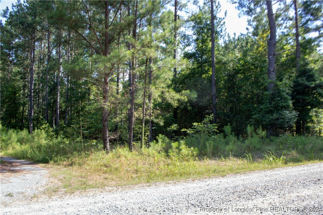 Property Photo:  671 Valley Pine Lane  NC 27330 