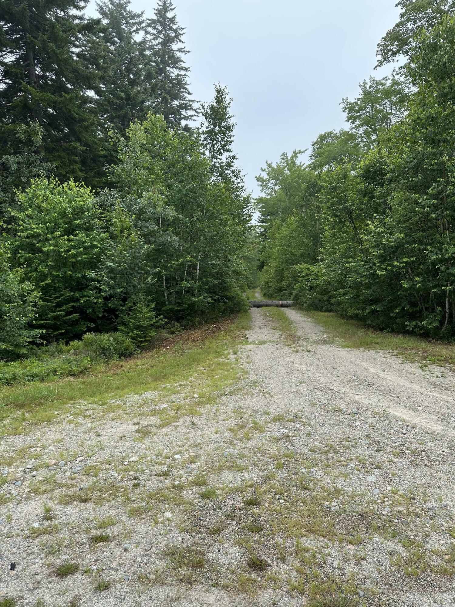 Property Photo:  Lot 44 Estates Road  ME 04680 