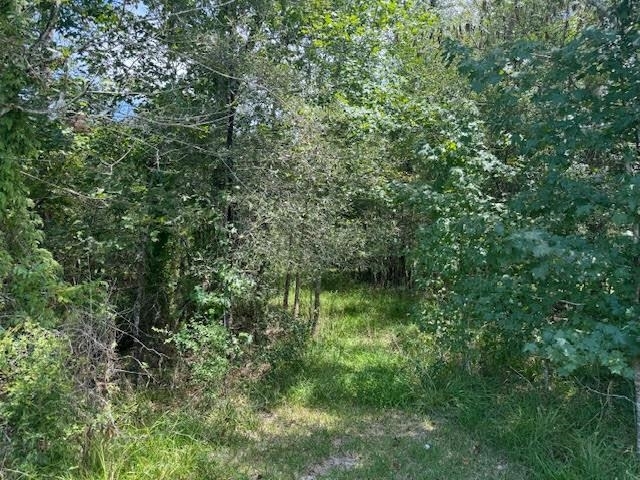 Property Photo:  000 Pinewood Lot 18  TX 77659 