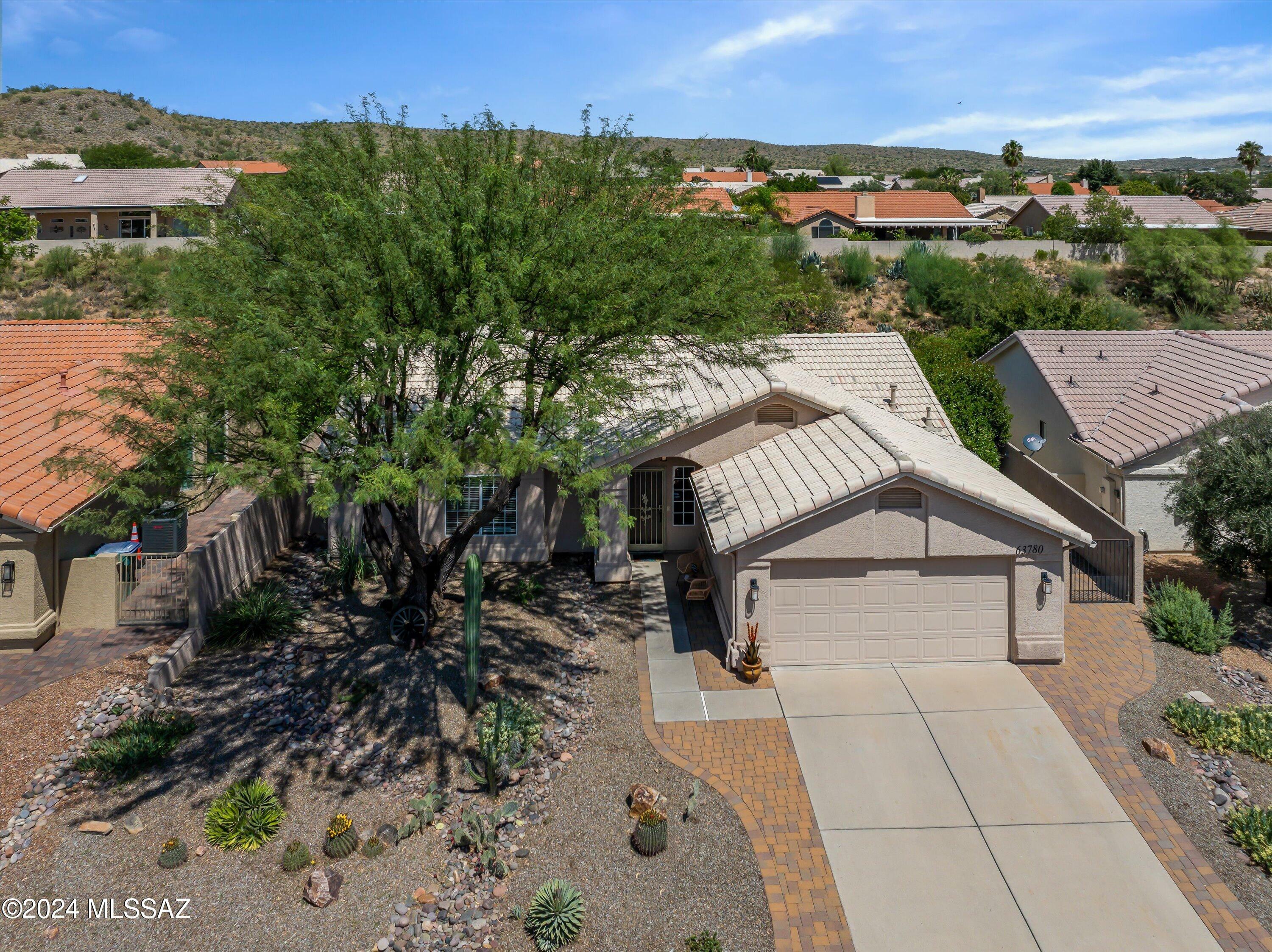 Property Photo:  63780 E Squash Blossom Lane  AZ 85739 