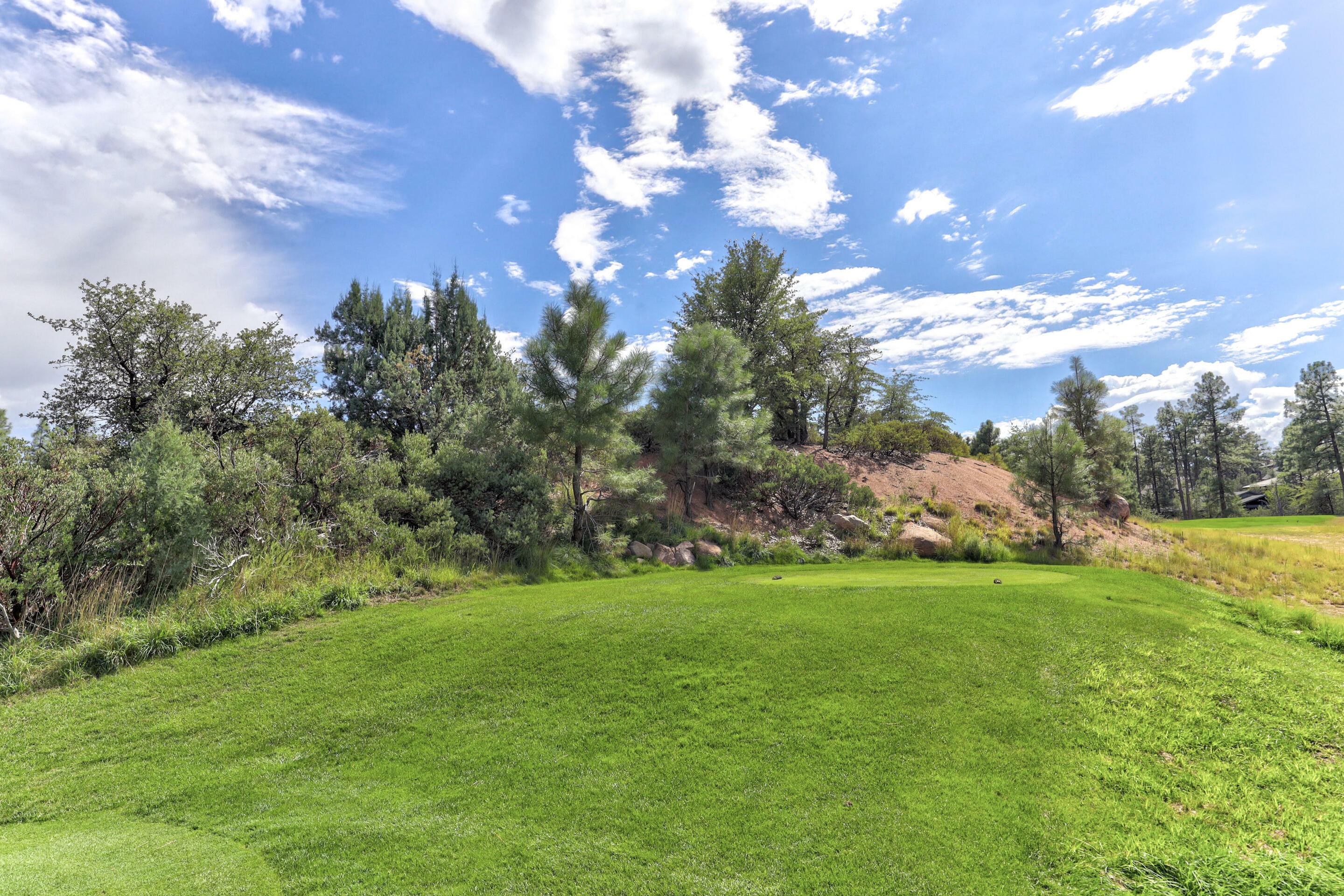 Property Photo:  2502 E Grapevine Drive  AZ 85541 