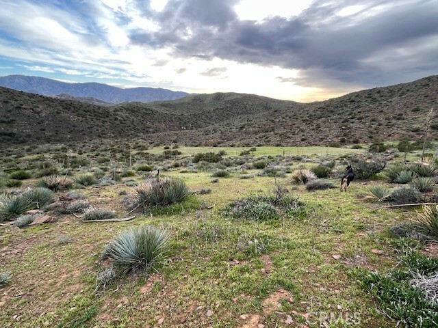 Property Photo:  32901 Hawley Road  CA 93510 