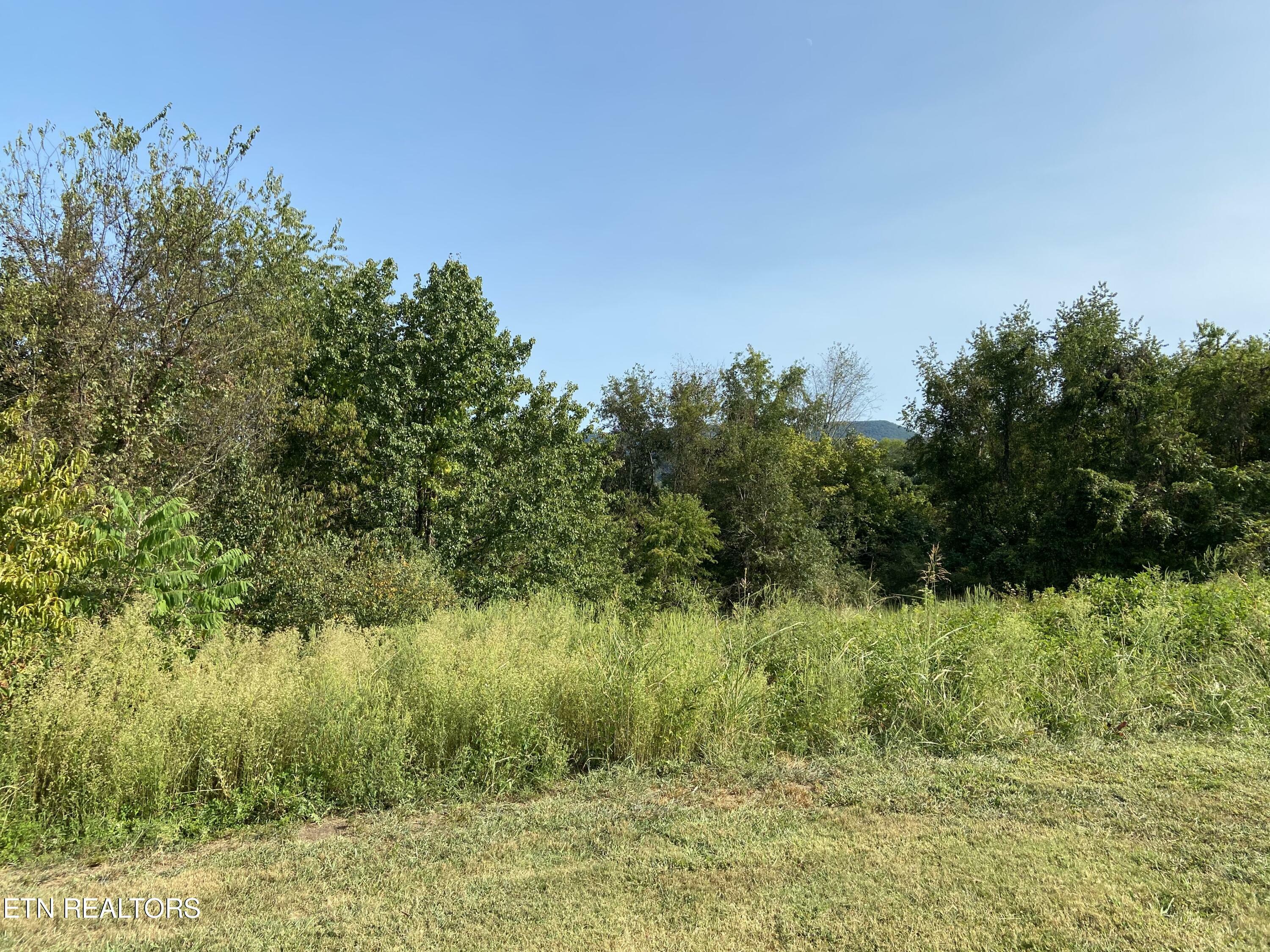 Property Photo:  0 Tuckaleechee Pike  TN 37804 