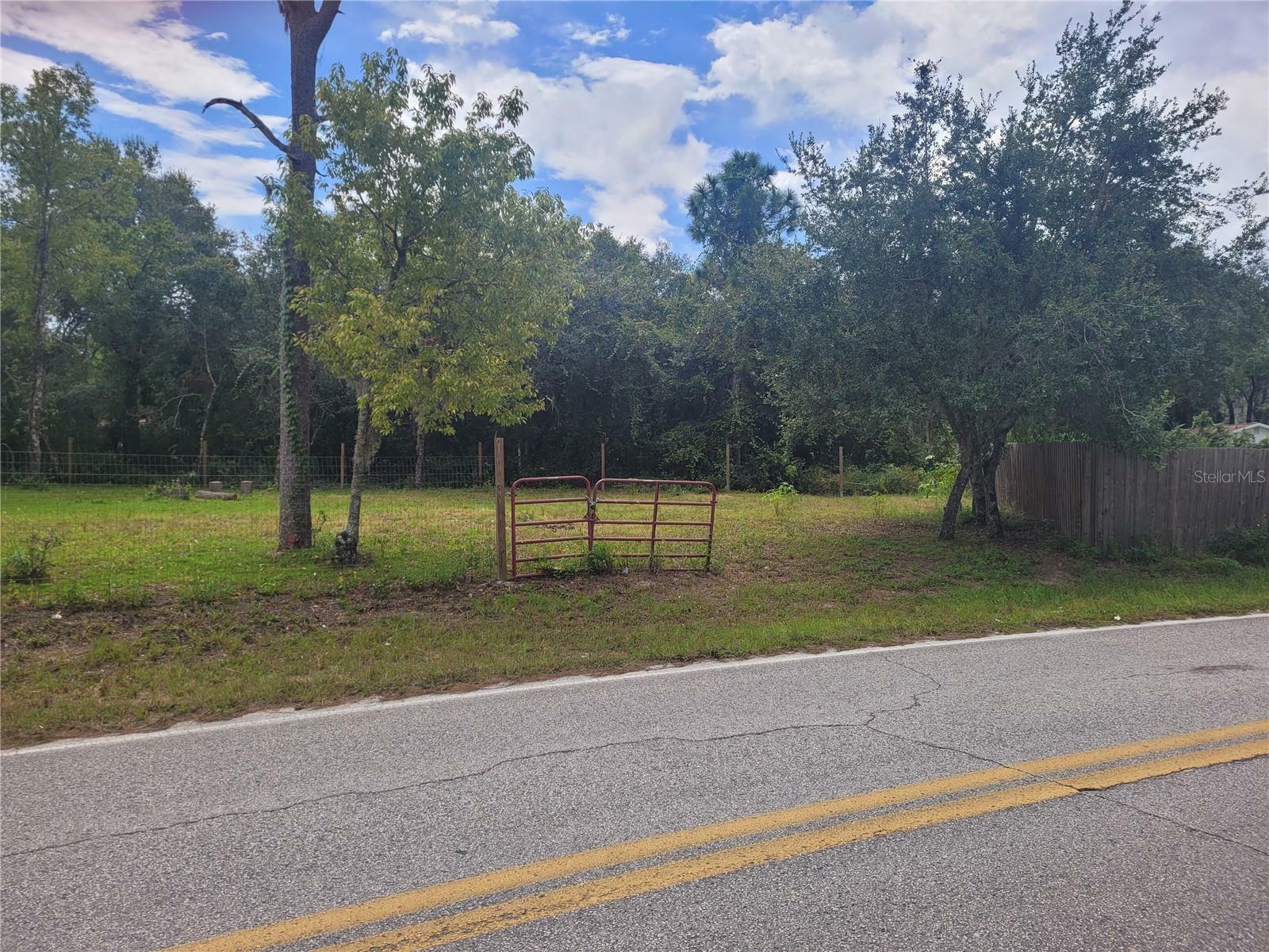 Property Photo:  9731 Sholtz Street  FL 34654 