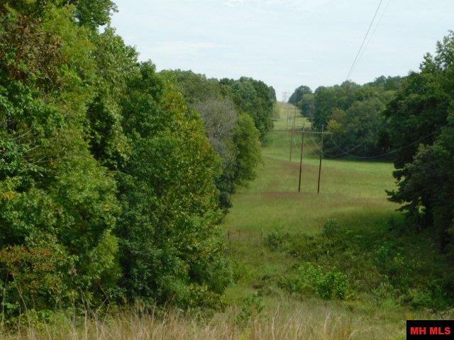 Property Photo: 001-00008-000 Rodney Road AR 72519