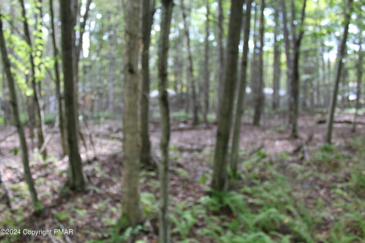 Property Photo:  Muskwink Dr1  PA 18347 