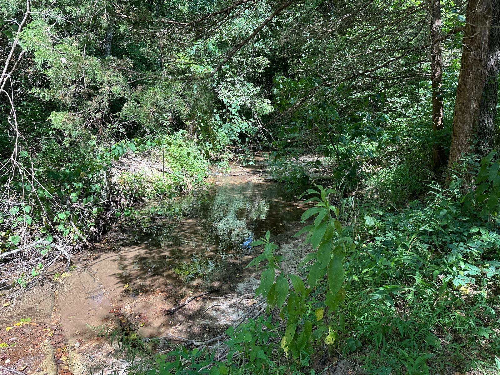 Property Photo:  1937 Mc 5019 Springlake Rd  AR 72672 