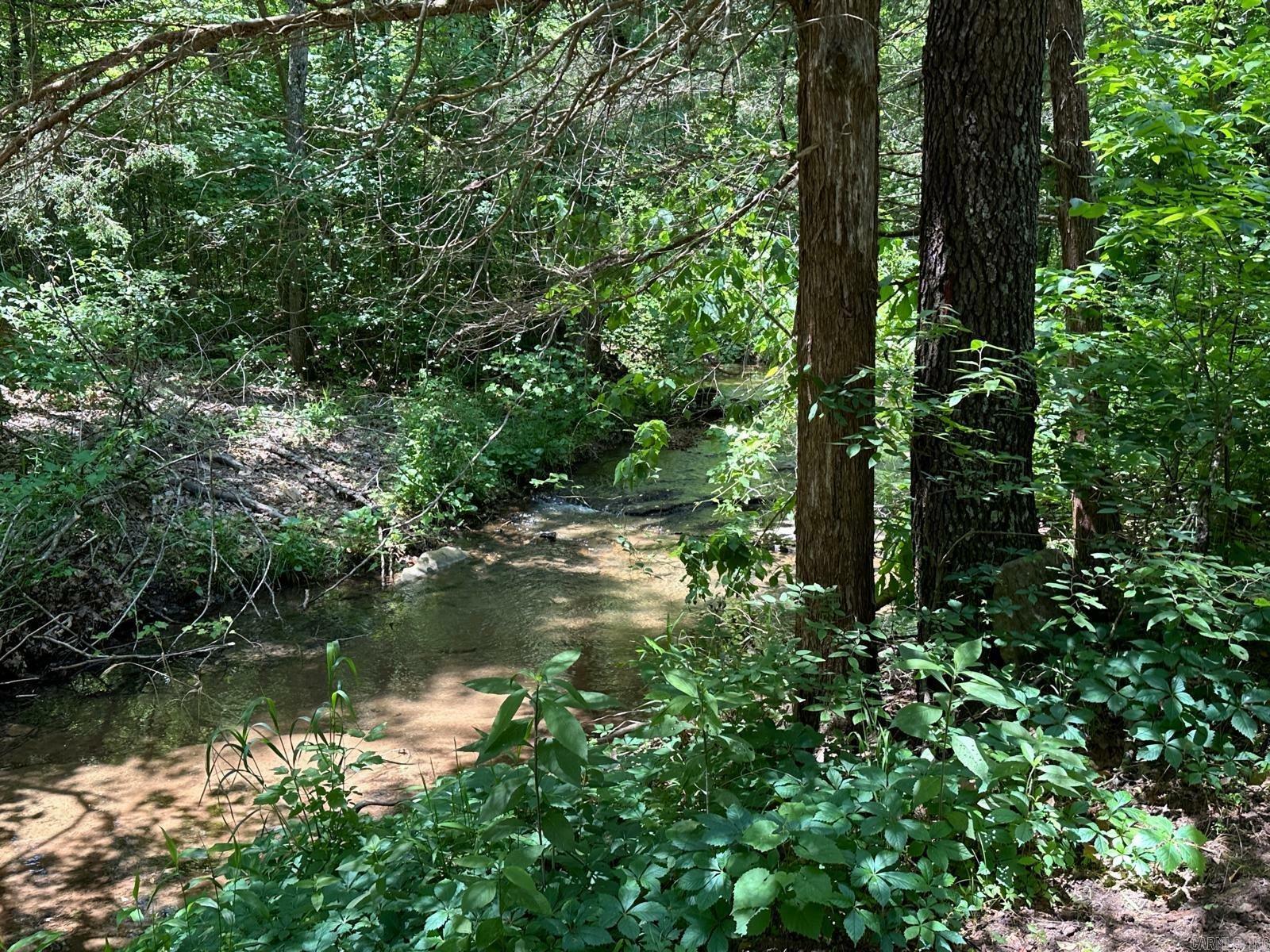 Property Photo:  1937 Mc 5019 Springlake Rd  AR 72672 