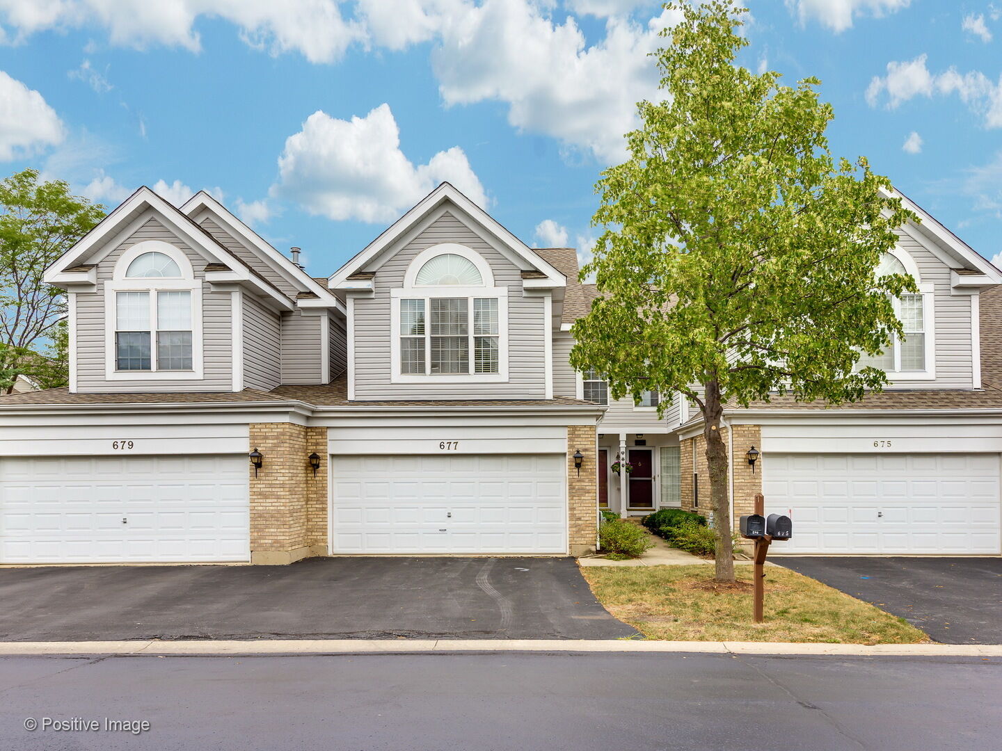 Property Photo:  677 Citadel Drive  IL 60559 