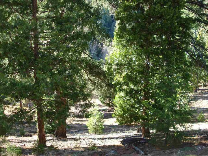 Property Photo: 369 Big Grizzly CA 96122