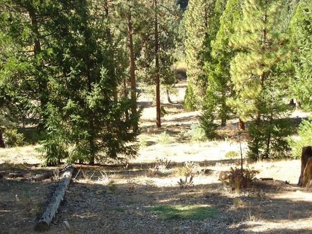 Property Photo:  357 Big Grizzly  CA 96122 