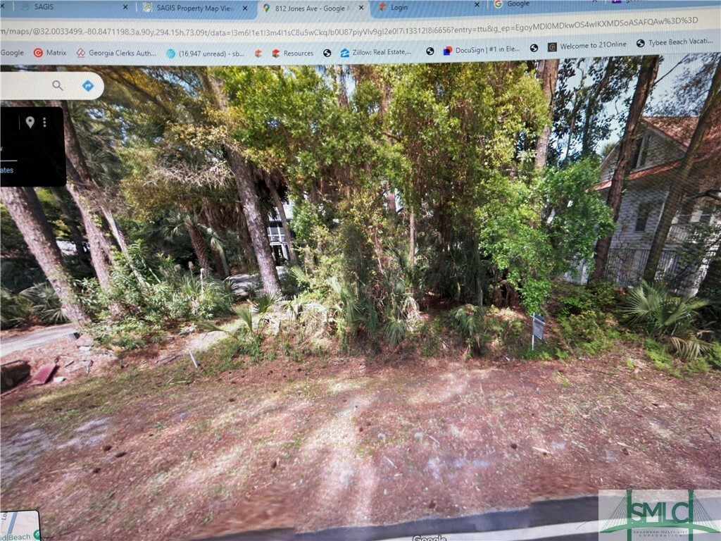 Property Photo: 0 Jones Avenue GA 31328