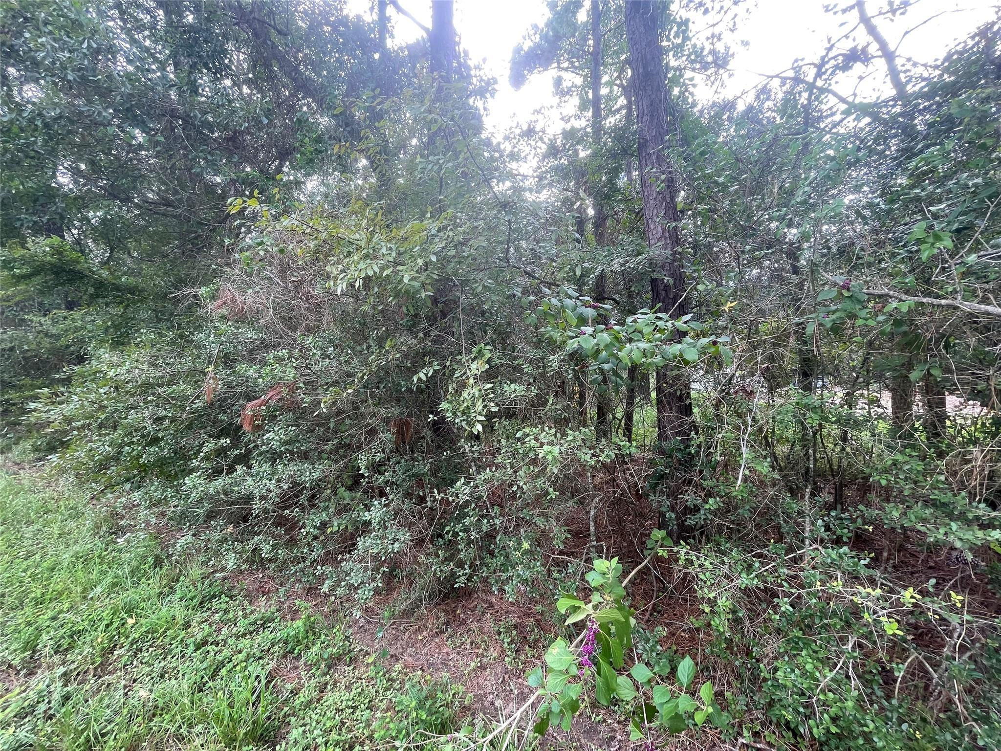 Property Photo: 0 Corolla Road TX 77354