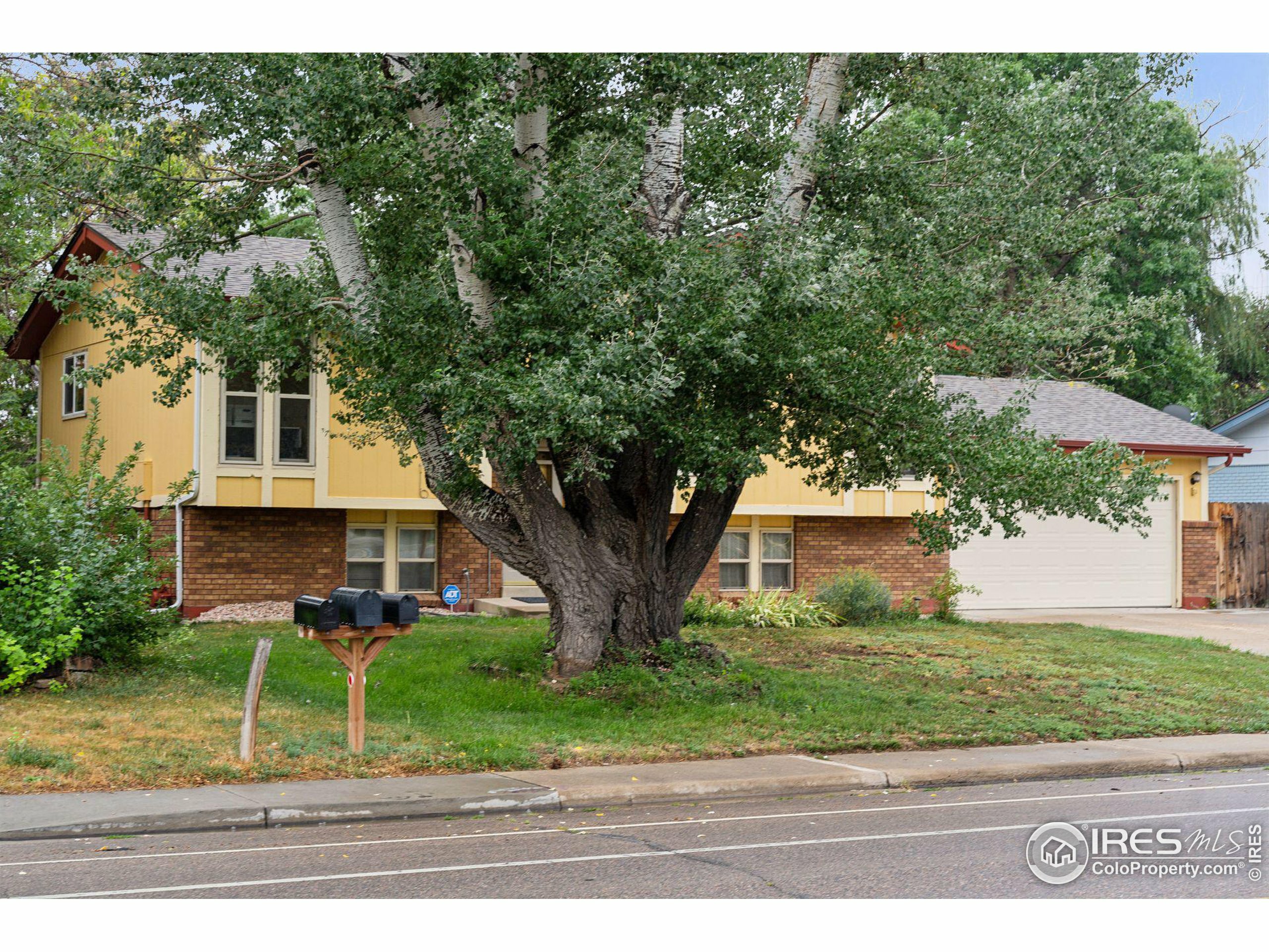 Property Photo:  2120 Gay St  CO 80501 