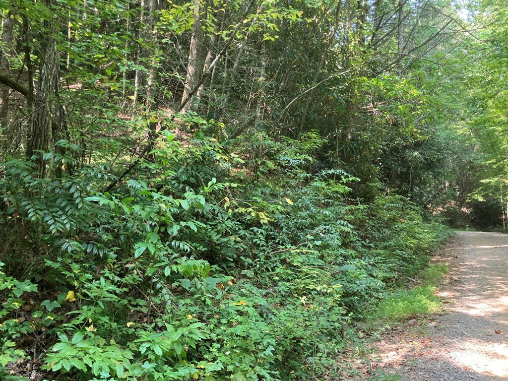 Property Photo:  5.8 Copper Creek Rd  NC 28906 