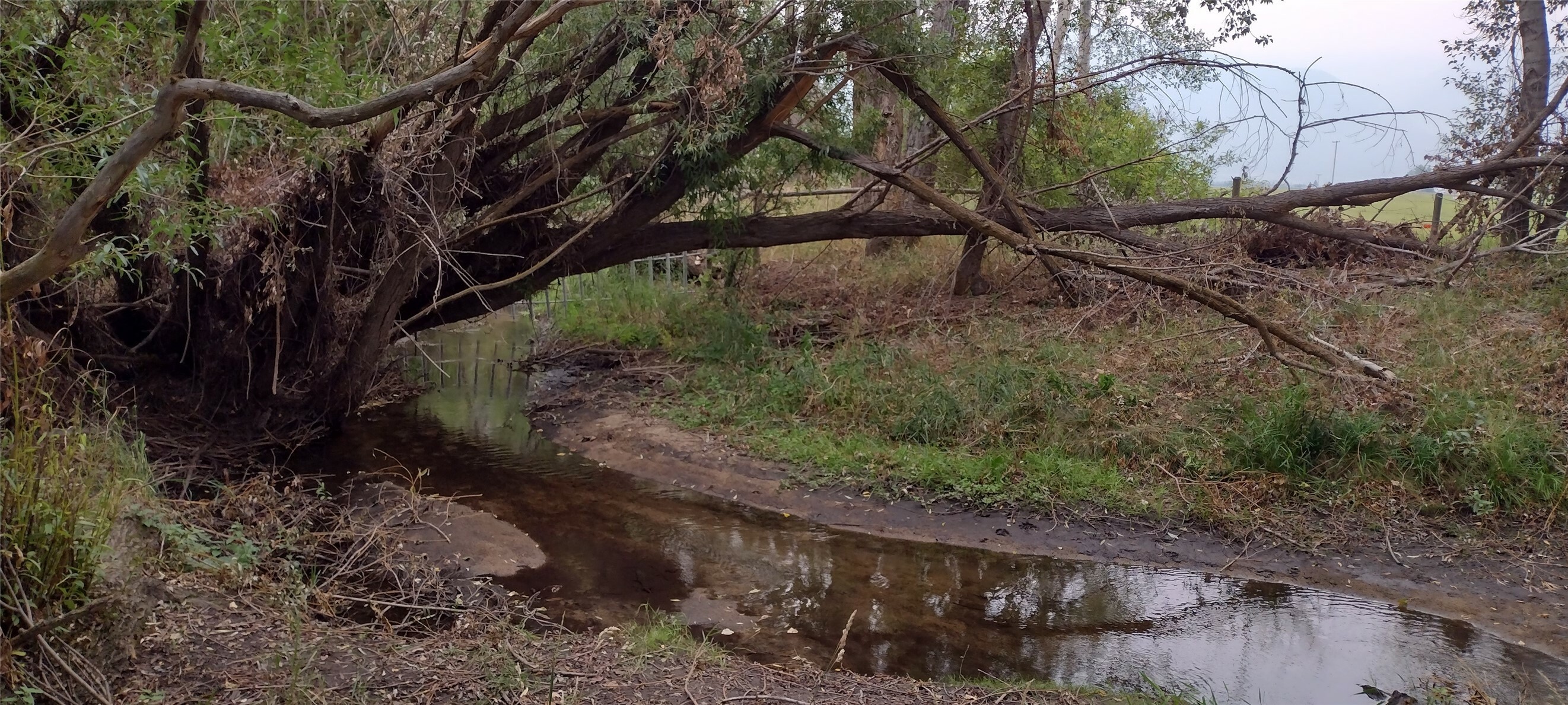 Property Photo: Nhn 3 Mile Creek Road MT 59870