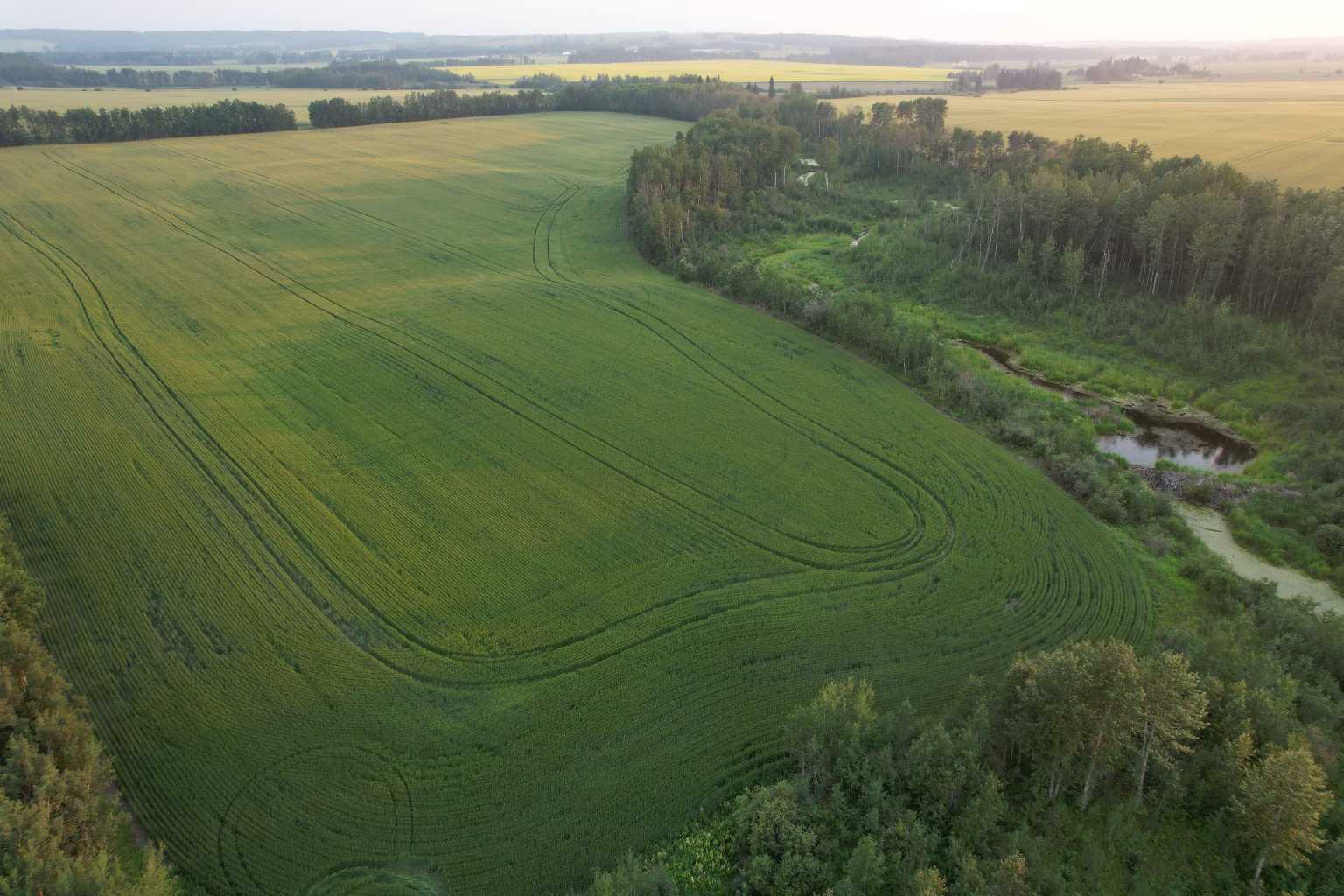 Photo de la propriété: On Range Road 30A AB T0C 0M0