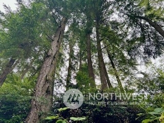 Property Photo:  0 Xxx  Goss Lake Road  WA 98260 