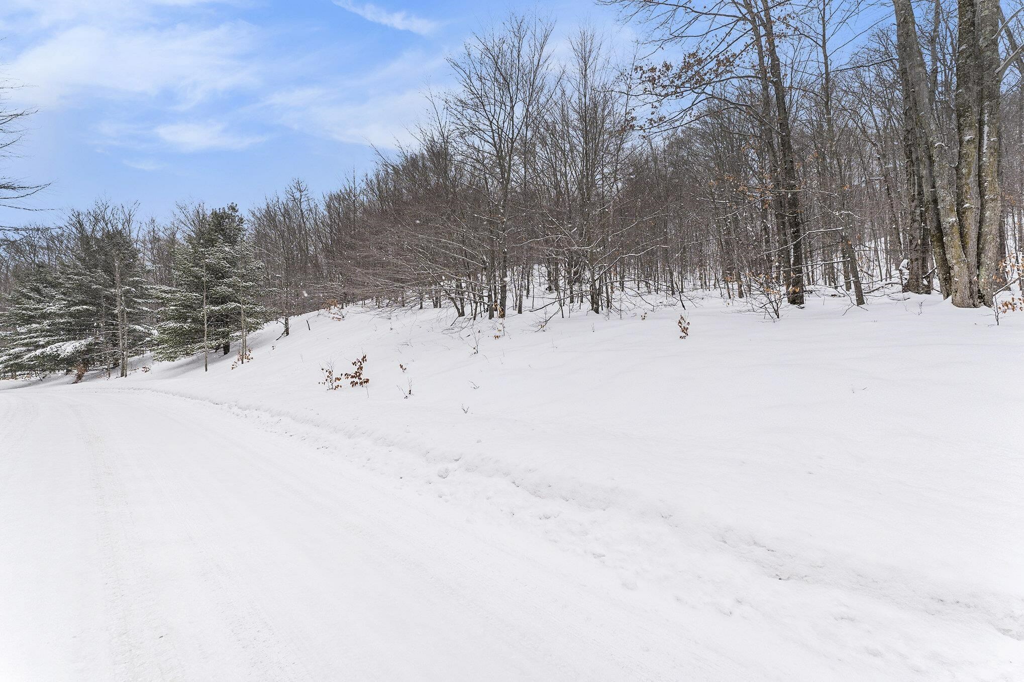 Property Photo:  Lot 12 Mountain Woods Drive  MI 49683 