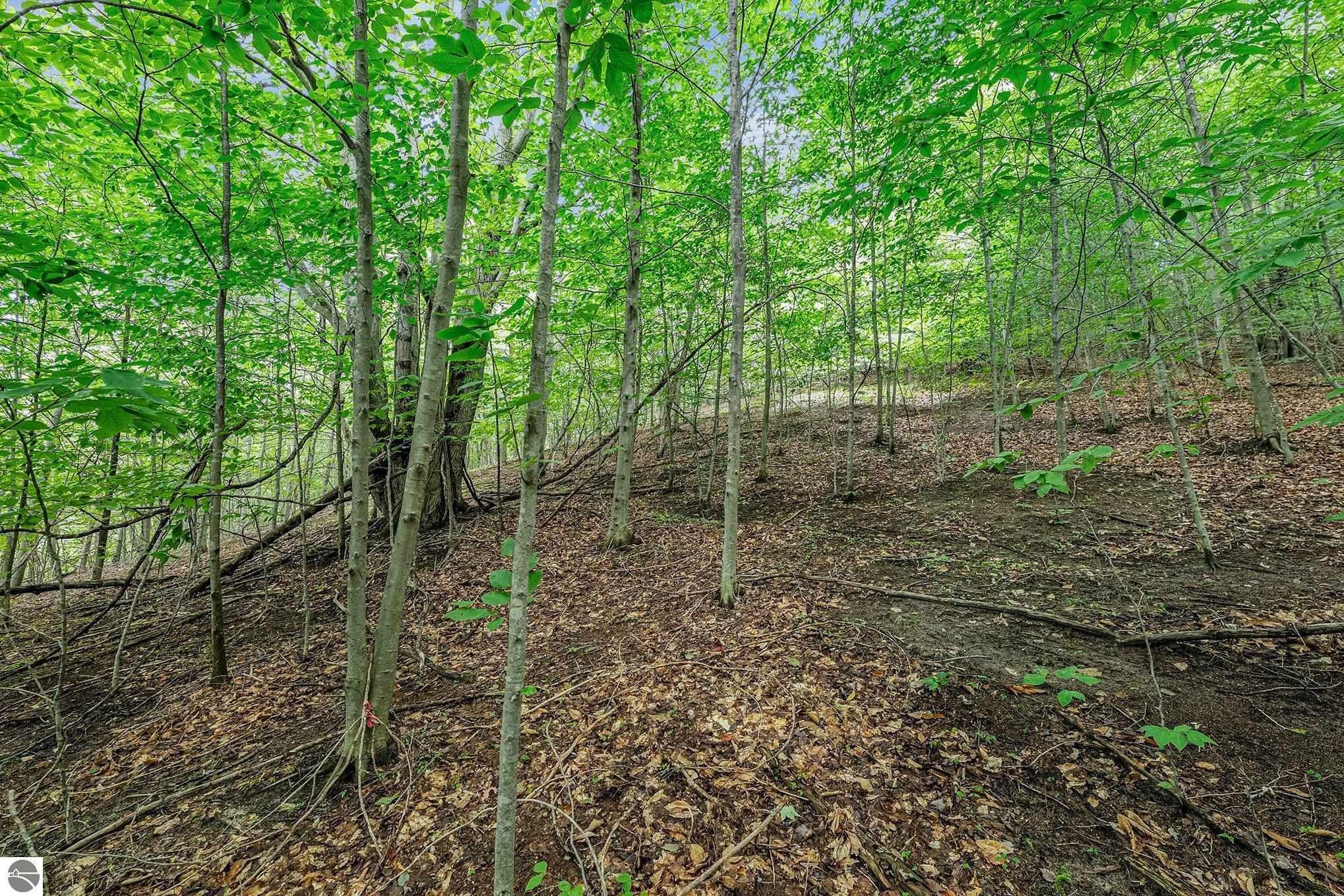 Property Photo:  Lot 42 Mountain Woods Drive  MI 49683 