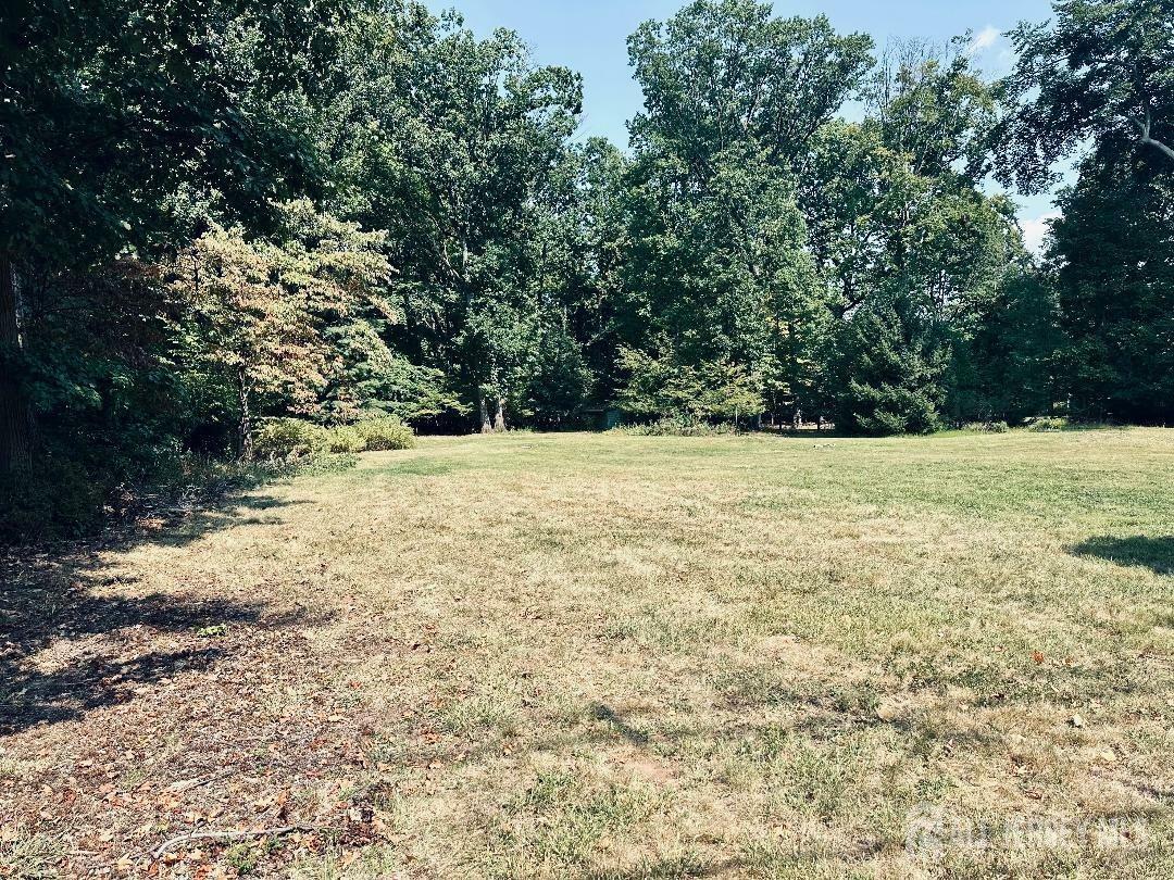 Property Photo:  82 Ravine Drive  NJ 07067 