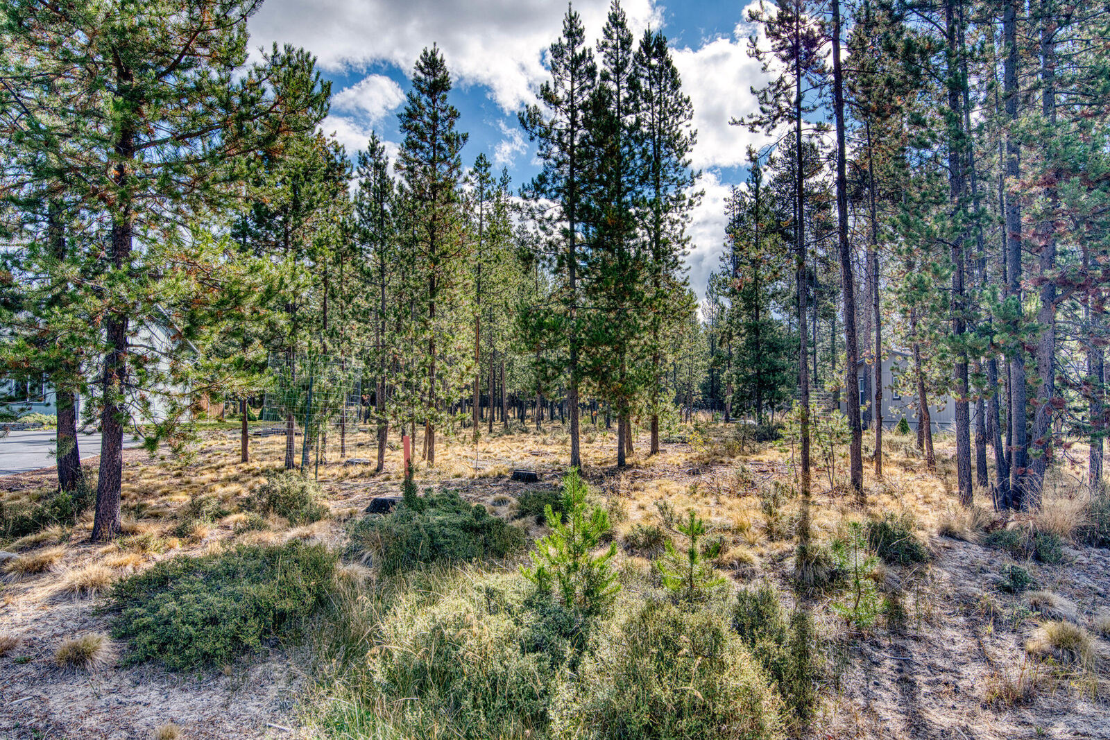 Property Photo:  55956 Black Duck Road  OR 97707 
