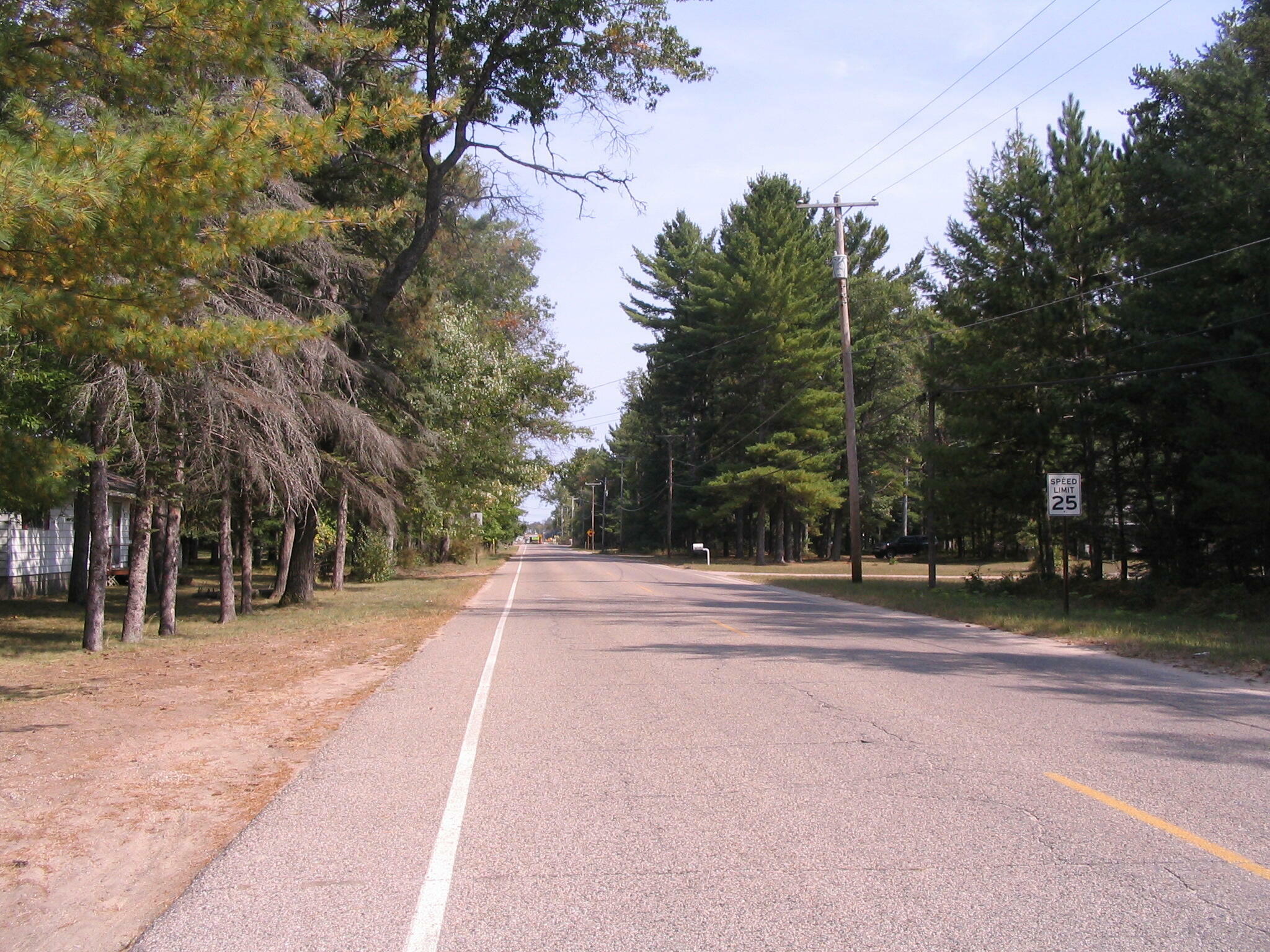 Property Photo:  6252 Old Lake Road  MI 49738 