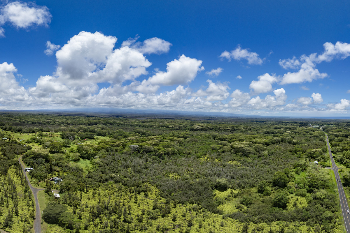 Pahoa Kalapana Rd  Pahoa HI 96778 photo