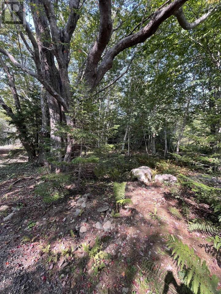 Property Photo:  Lot 340 Highway  NS B0W 3T0 