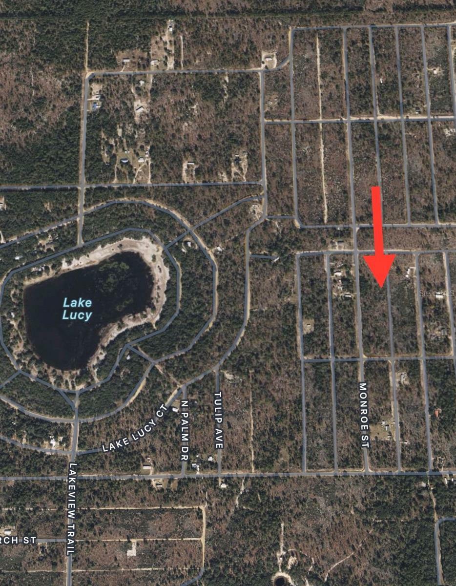 Property Photo:  Lots 39 Through 44 17th Street  FL 32148 